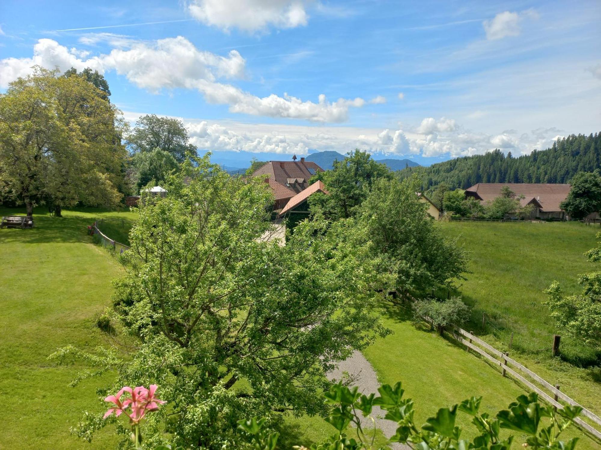 Steurer Hof Apartment Liebenfels Exterior photo